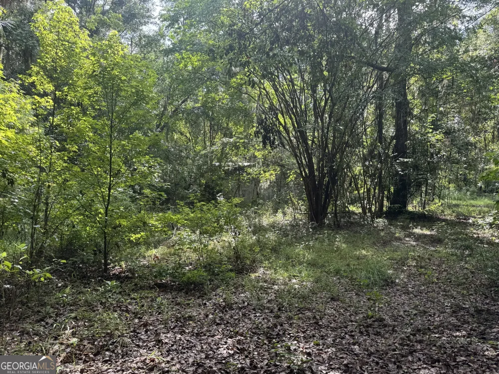 68 Johnson RD Richmond Hill, GA 31324