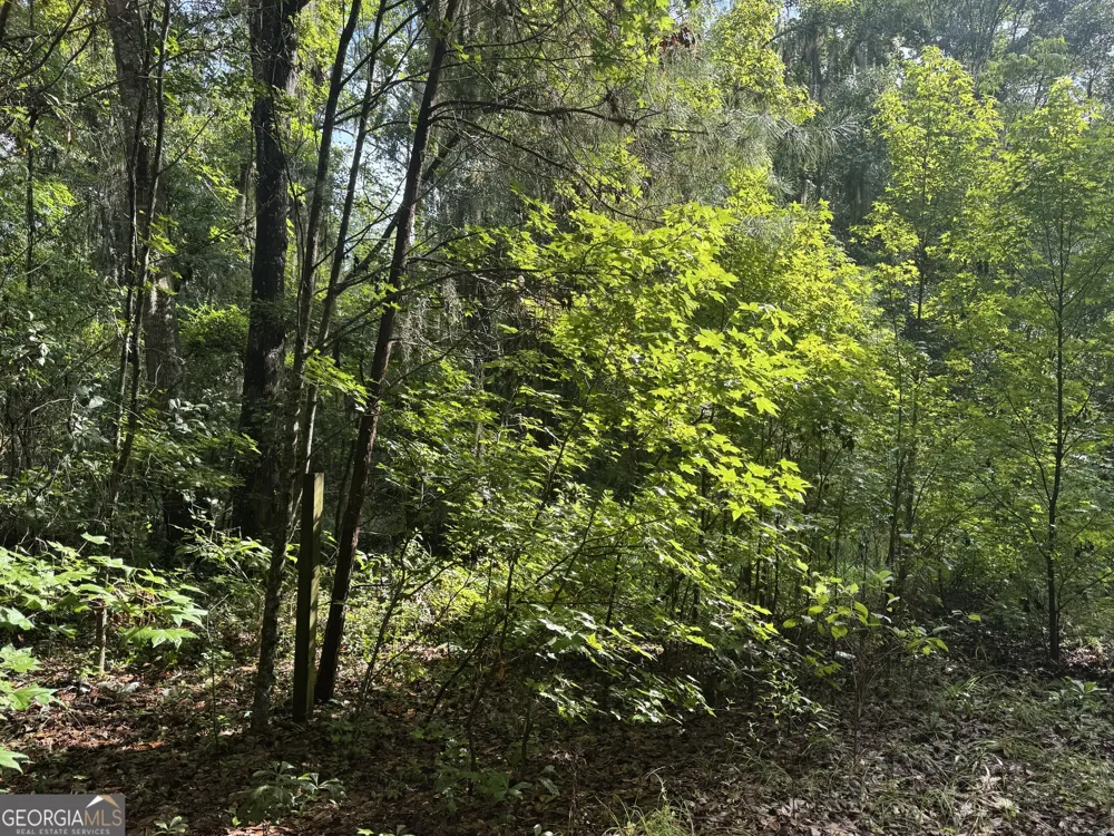 68 Johnson RD Richmond Hill, GA 31324
