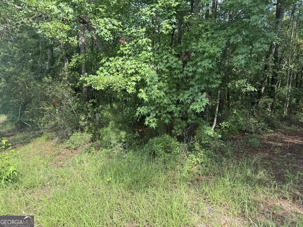 68 Johnson RD Richmond Hill, GA 31324