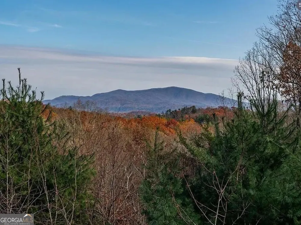 189 Trails End Ridge Ellijay, GA 30540