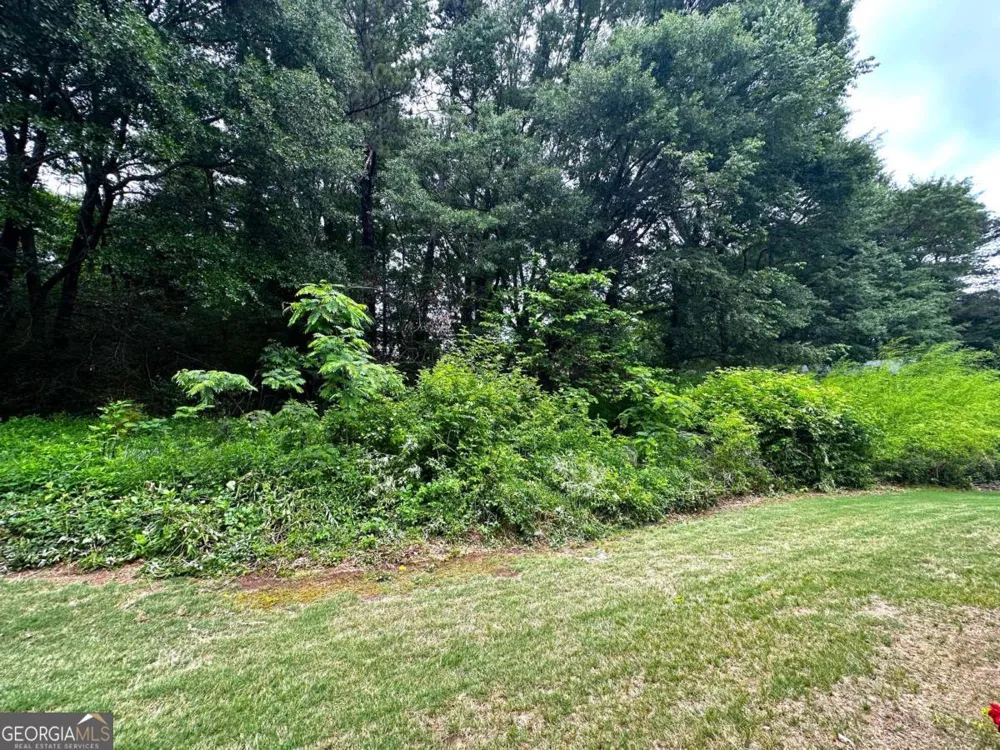 398 Paden Cove TRL Lawrenceville, GA 30044