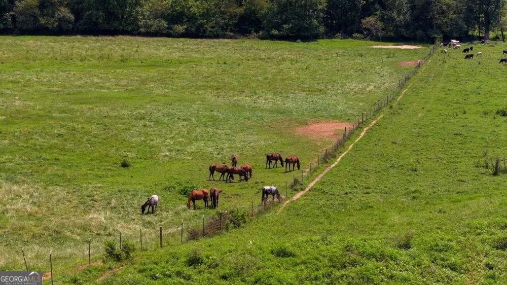 51.20 AC Bethabara RD Hayesville, NC 28904
