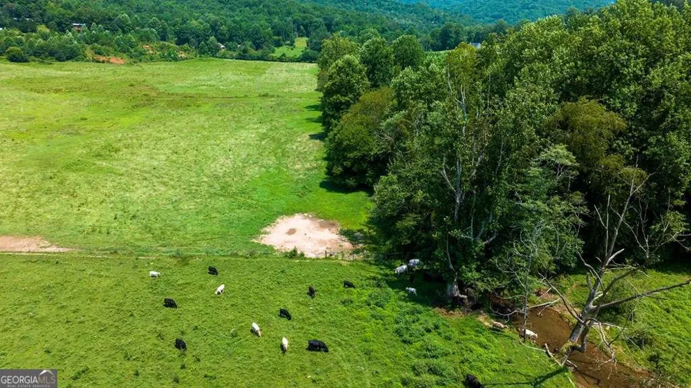 51.20 AC Bethabara RD Hayesville, NC 28904