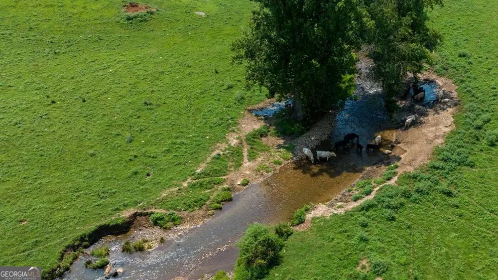 51.20 AC Bethabara RD Hayesville, NC 28904