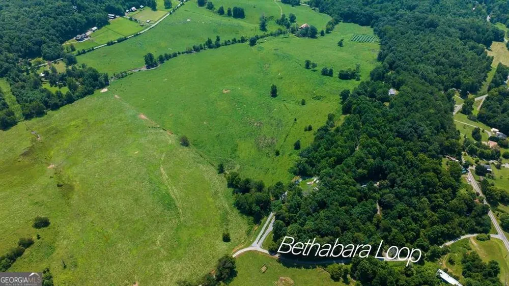 51.20 AC Bethabara RD Hayesville, NC 28904