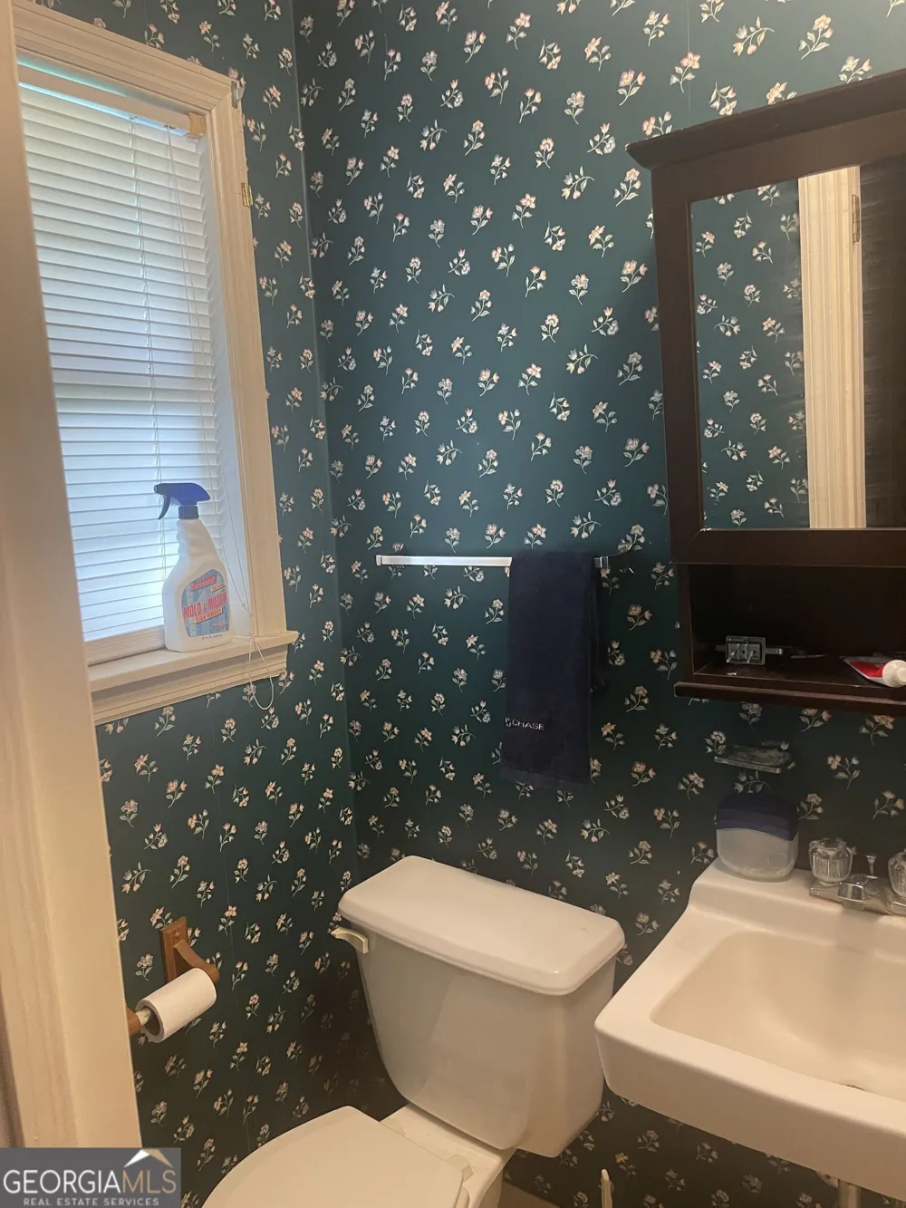508 Ada DR Millen, GA 30442