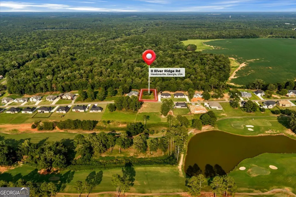 0 River Ridge DR Hawkinsville, GA 31036