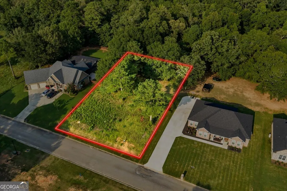 0 River Ridge DR Hawkinsville, GA 31036
