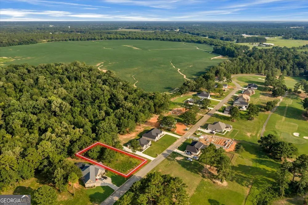 0 River Ridge DR Hawkinsville, GA 31036
