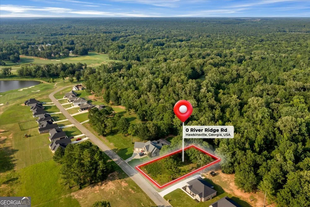 0 River Ridge DR Hawkinsville, GA 31036