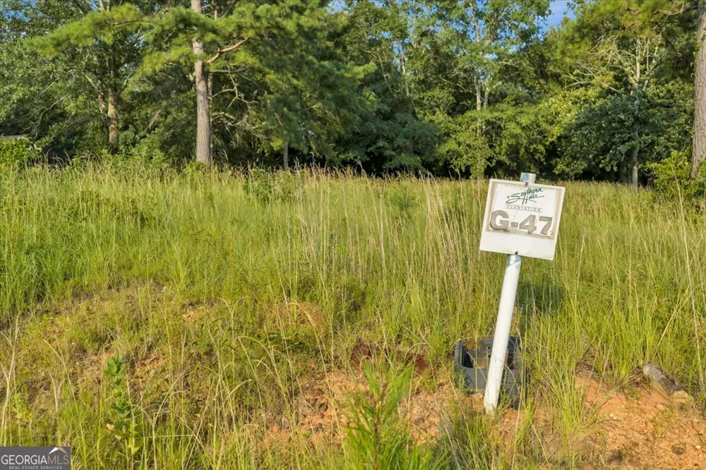 0 River Ridge DR Hawkinsville, GA 31036