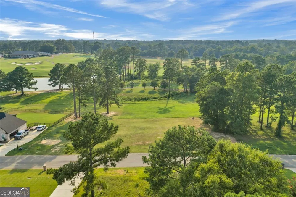 0 River Ridge DR Hawkinsville, GA 31036