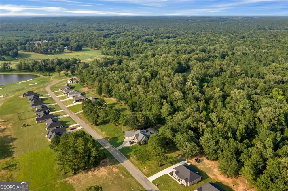 0 River Ridge DR Hawkinsville, GA 31036