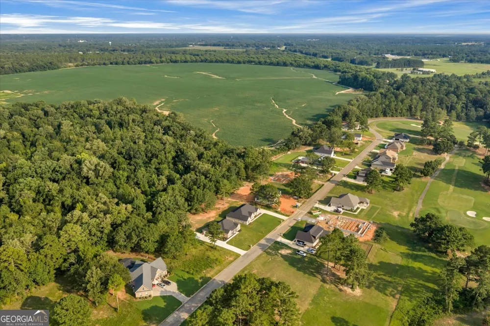 0 River Ridge DR Hawkinsville, GA 31036