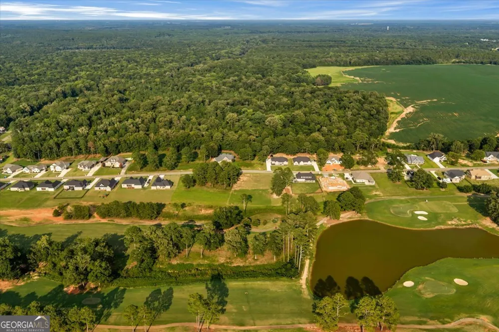 0 River Ridge DR Hawkinsville, GA 31036