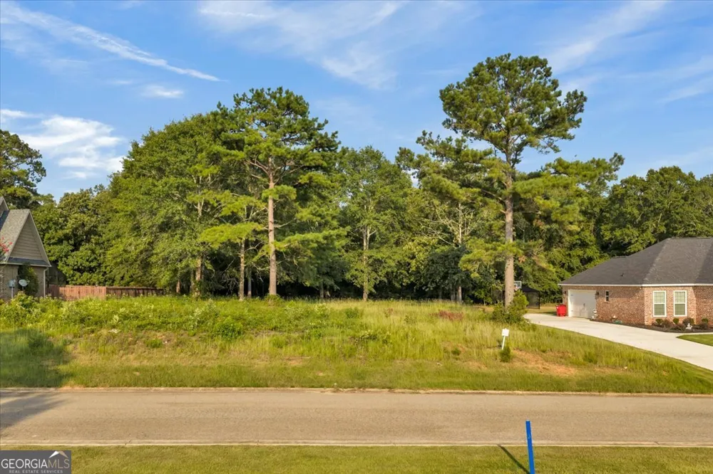 0 River Ridge DR Hawkinsville, GA 31036