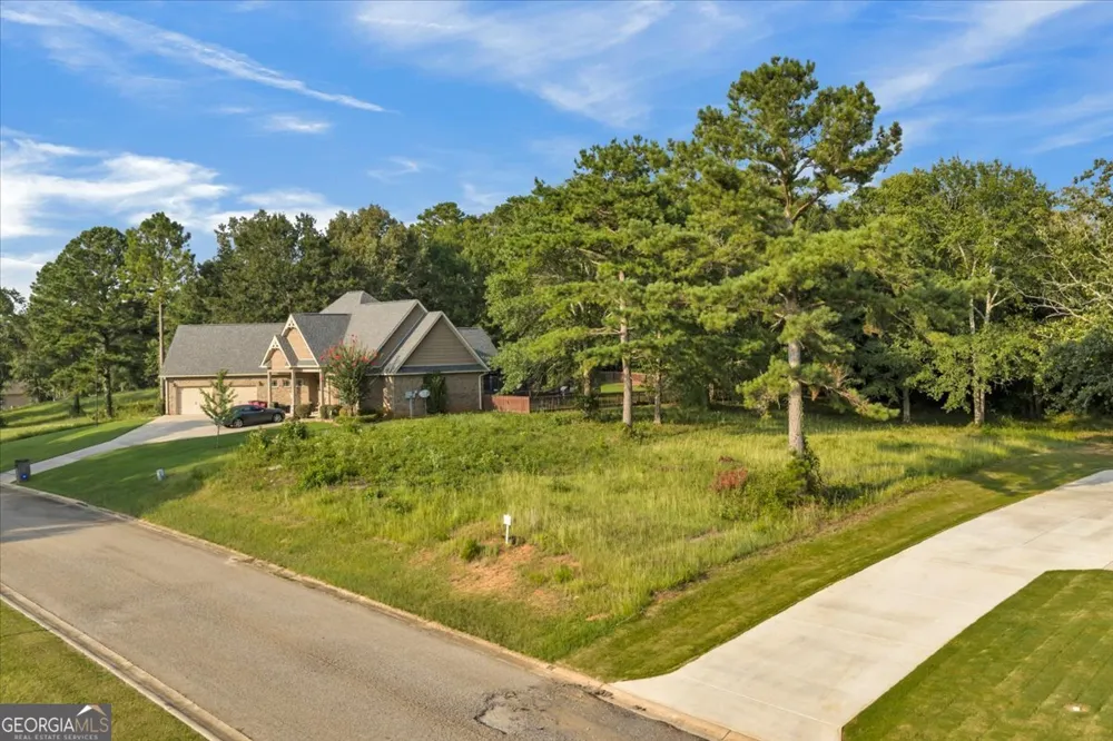 0 River Ridge DR Hawkinsville, GA 31036