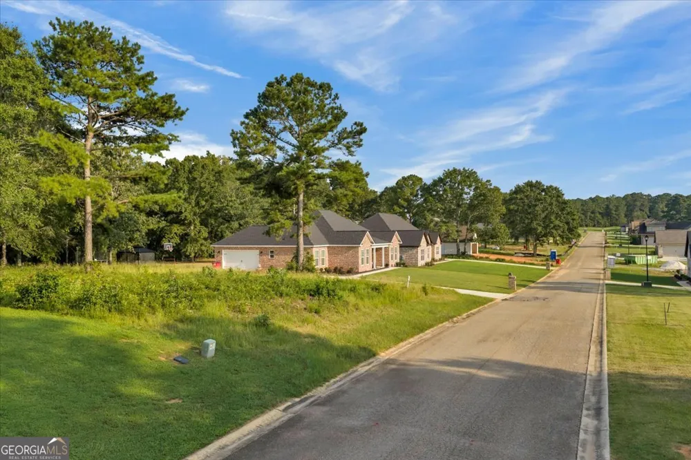 0 River Ridge DR Hawkinsville, GA 31036