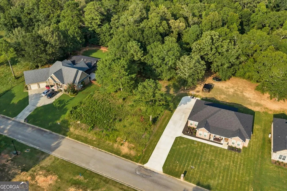 0 River Ridge DR Hawkinsville, GA 31036