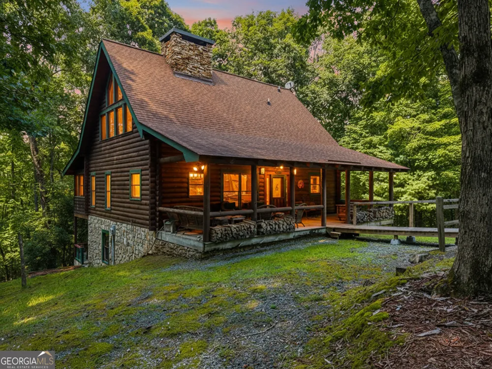 24 Indian Lake RD Mineral Bluff, GA 30559