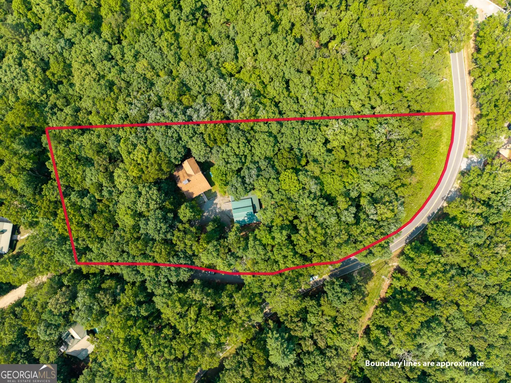 24 Indian Lake RD Mineral Bluff, GA 30559