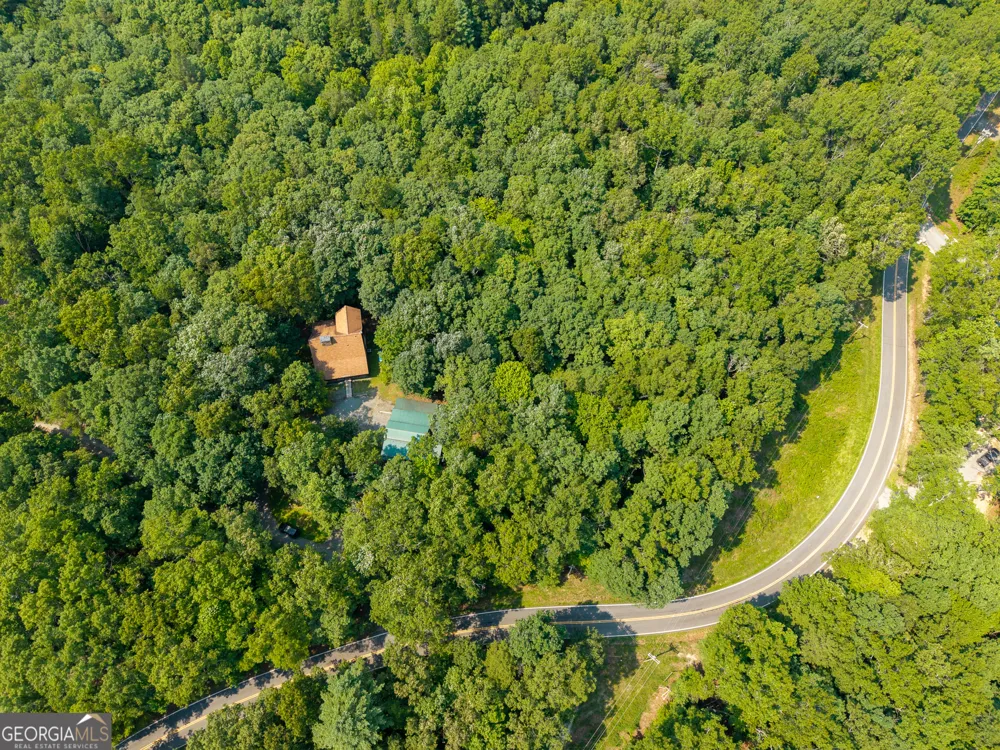 24 Indian Lake RD Mineral Bluff, GA 30559