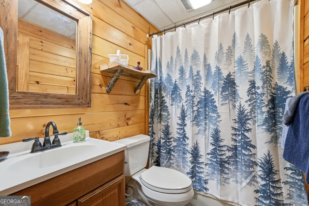 24 Indian Lake RD Mineral Bluff, GA 30559
