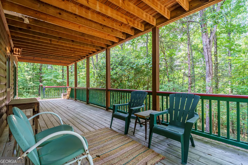 24 Indian Lake RD Mineral Bluff, GA 30559