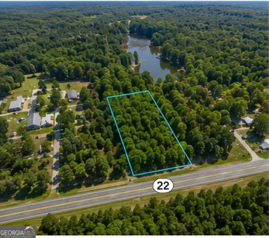 2.5 ACRES Highway 22 Haddock, GA 31033