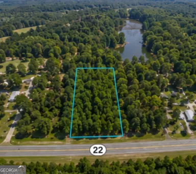 2.5 ACRES Highway 22 Haddock, GA 31033