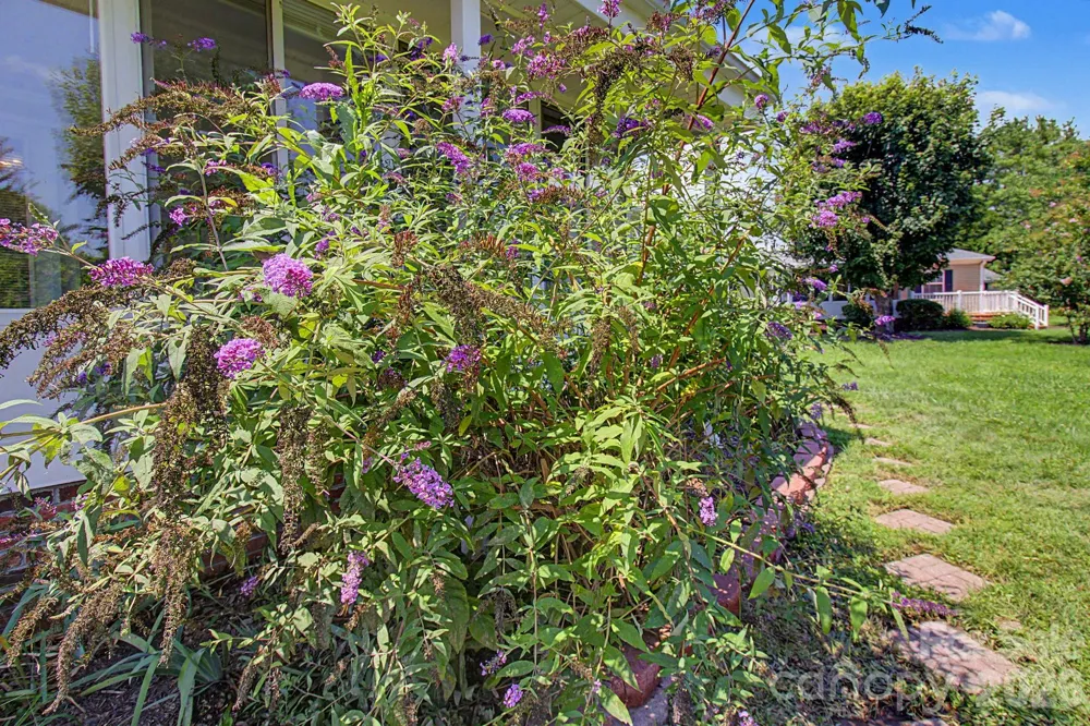 204 Red Birch Court Hendersonville, NC 28739
