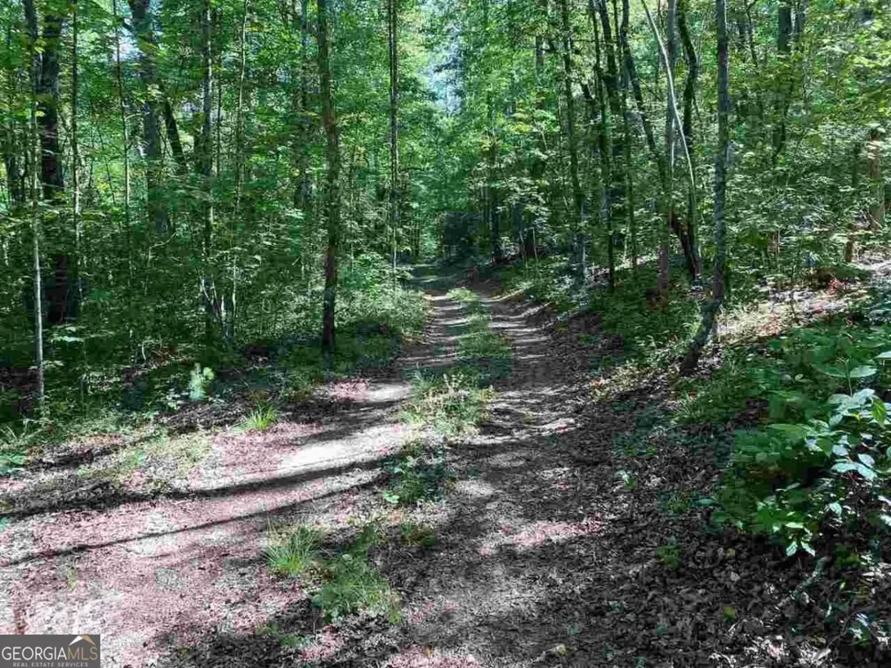 0 Oak Forest DR Clarkesville, GA 30523