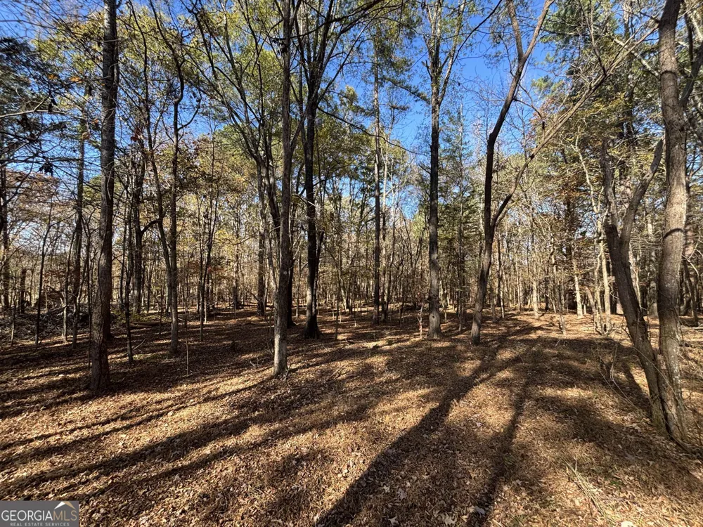 0 Oconee Rd Lot 5 Buckhead, GA 30625