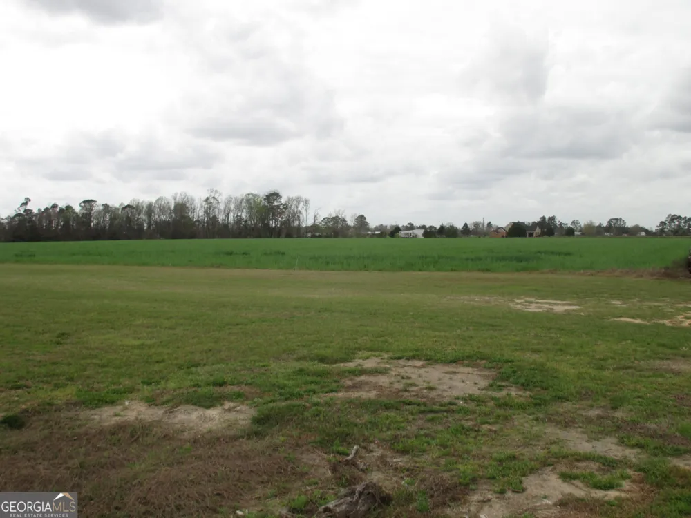 84 Comer Yawn RD Hazlehurst, GA 31539