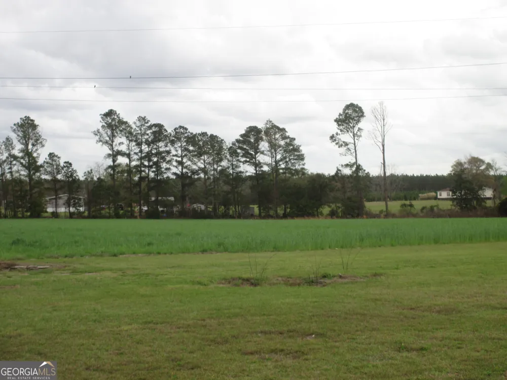 84 Comer Yawn RD Hazlehurst, GA 31539