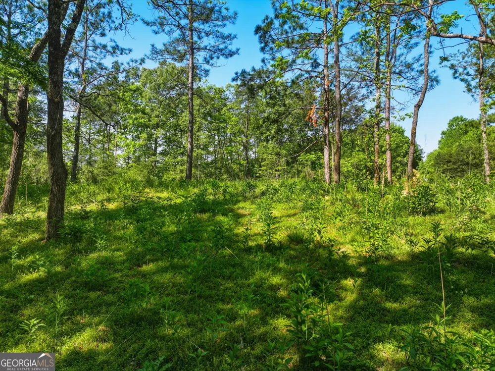 LOT 2 Summit DR Dahlonega, GA 30533