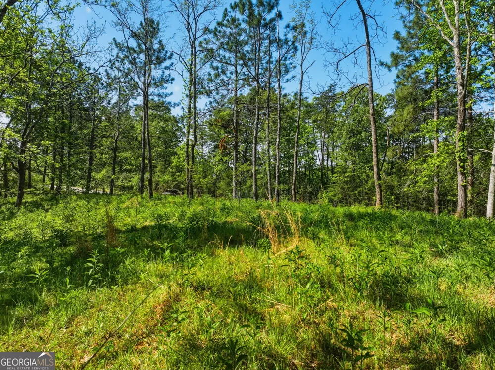 LOT 2 Summit DR Dahlonega, GA 30533