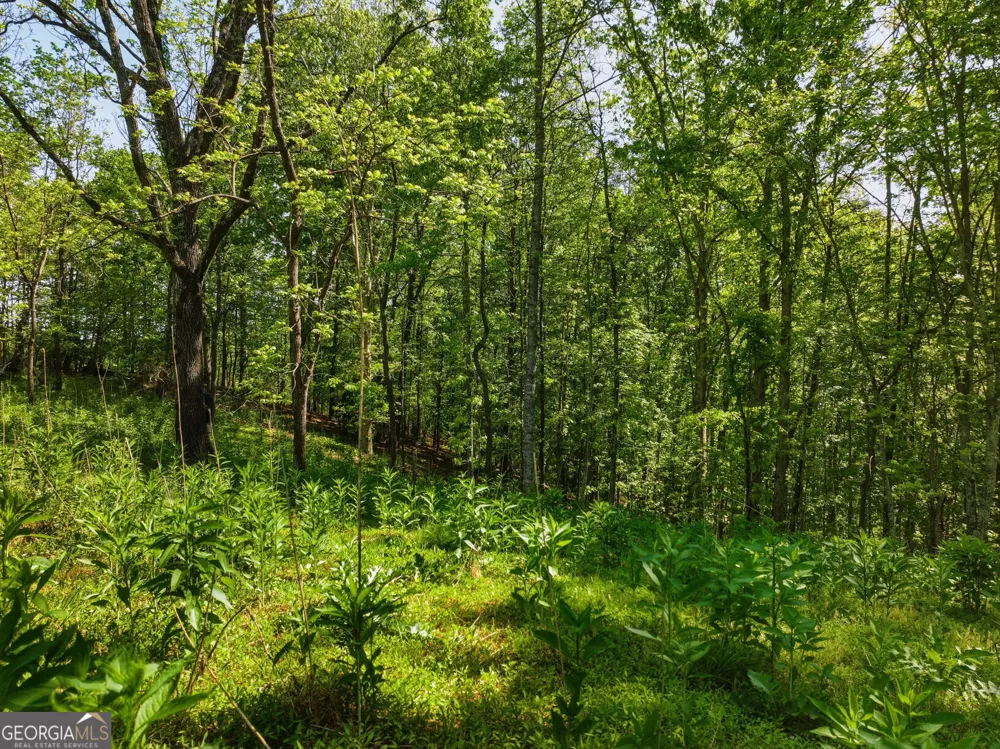 LOT 2 Summit DR Dahlonega, GA 30533
