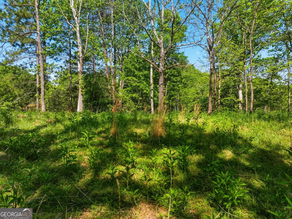 LOT 1 Summit DR Dahlonega, GA 30533