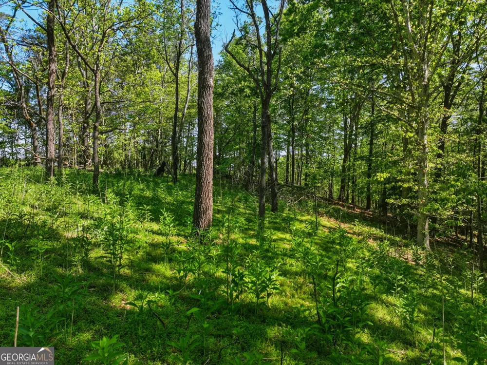 LOT 1 Summit DR Dahlonega, GA 30533