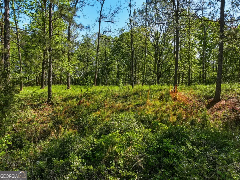 LOT 1 Summit DR Dahlonega, GA 30533