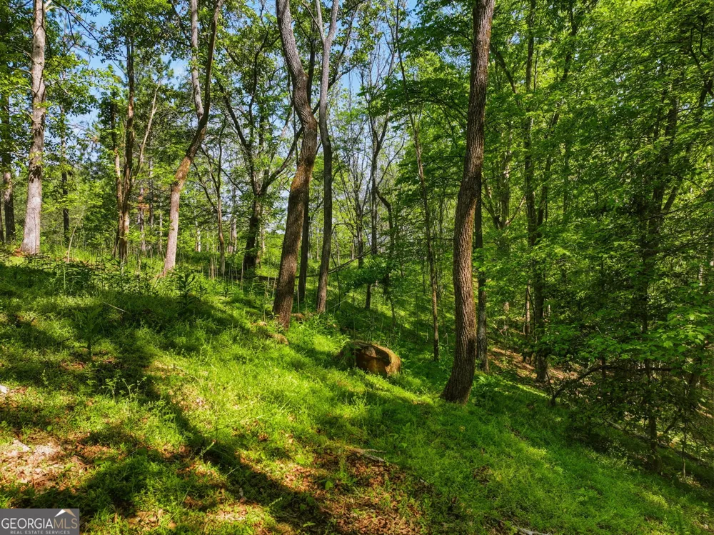 LOT 4 Summit DR Dahlonega, GA 30533