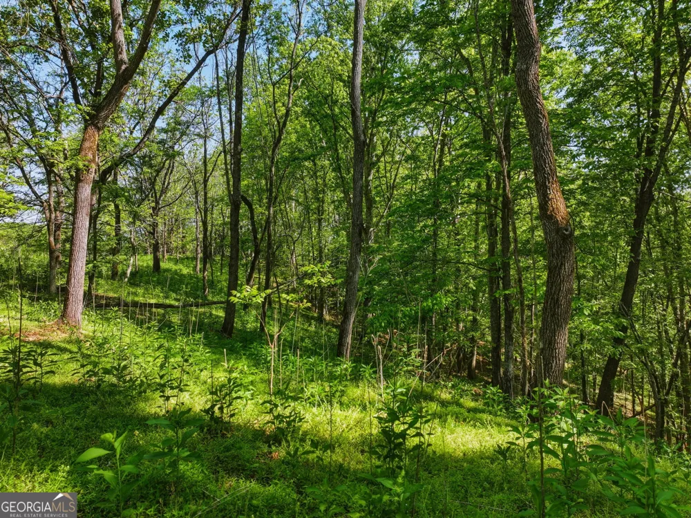 LOT 4 Summit DR Dahlonega, GA 30533