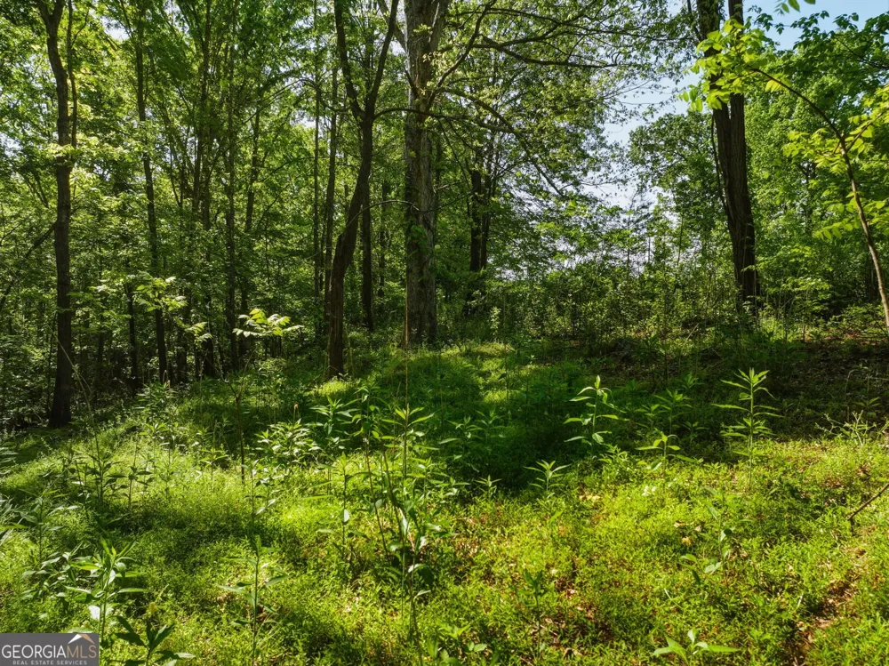 LOT 4 Summit DR Dahlonega, GA 30533