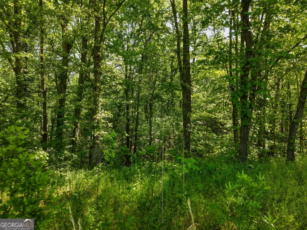 LOT 5 Summit DR Dahlonega, GA 30533