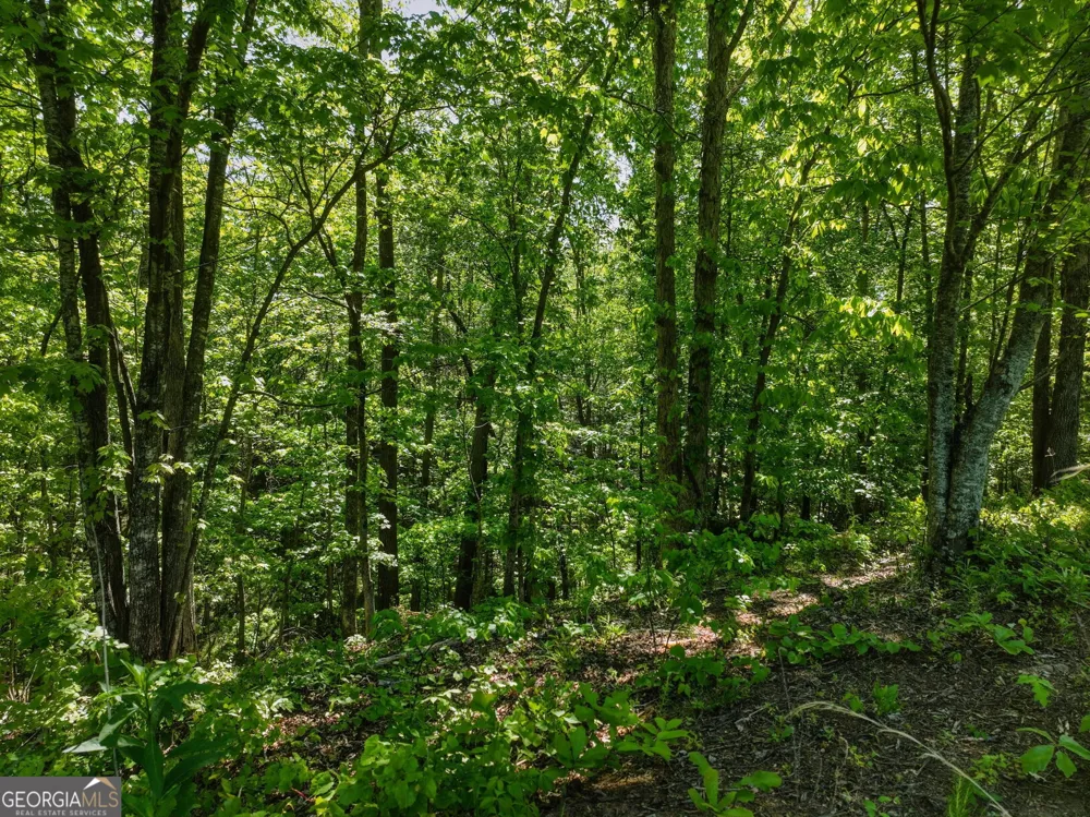 LOT 5 Summit DR Dahlonega, GA 30533