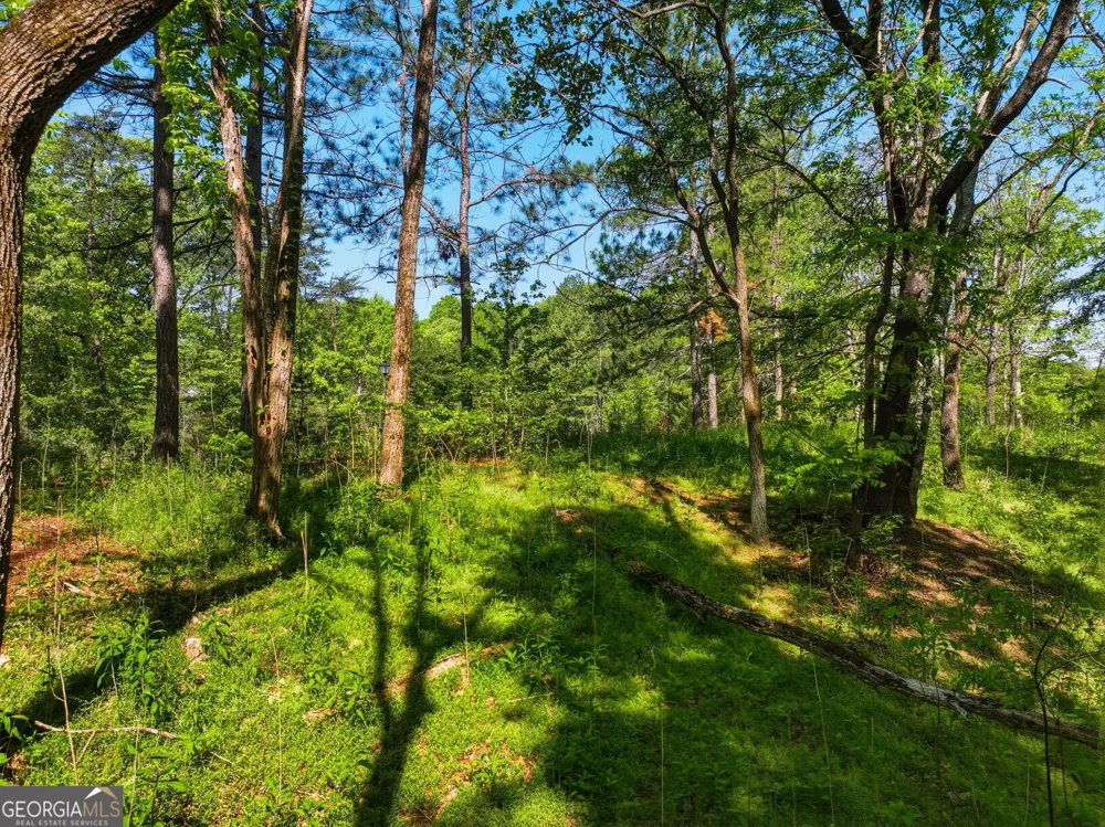 LOT 5 Summit DR Dahlonega, GA 30533