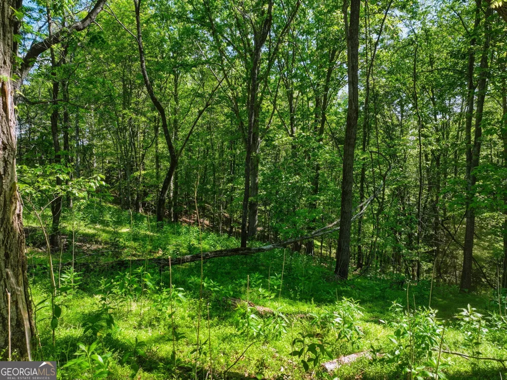 LOT 6 Summit DR Dahlonega, GA 30533