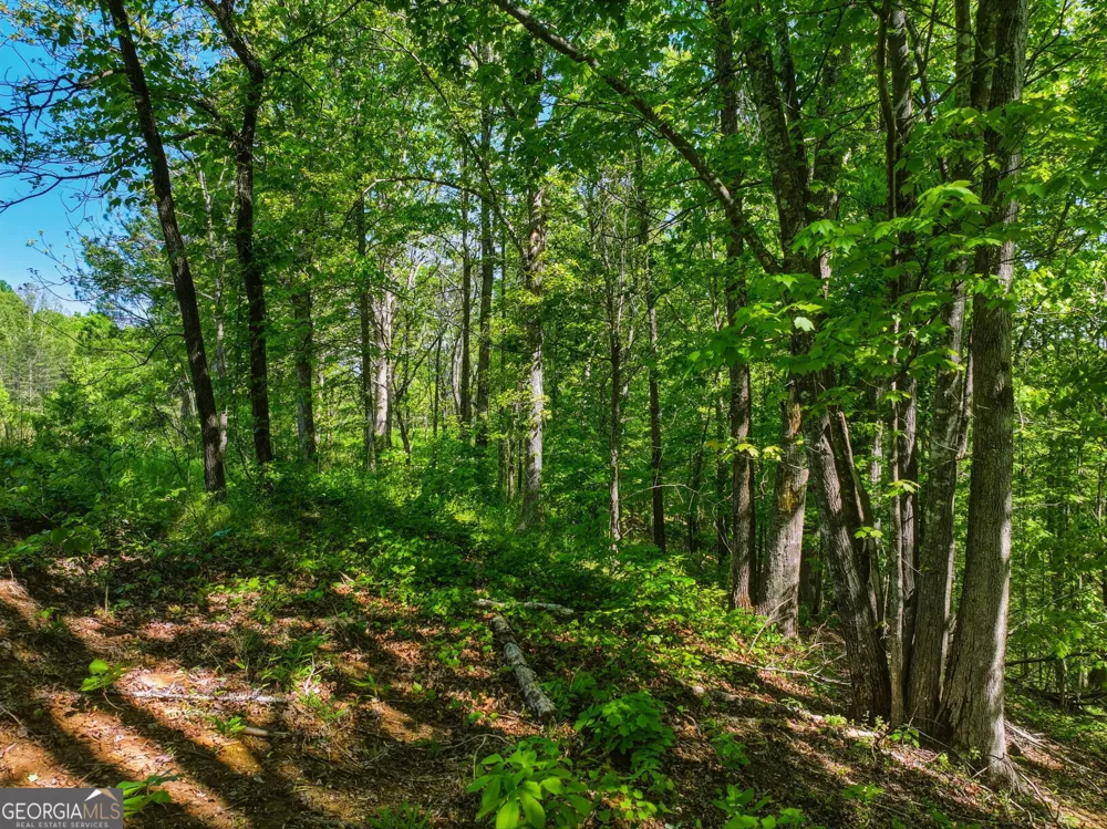 LOT 6 Summit DR Dahlonega, GA 30533