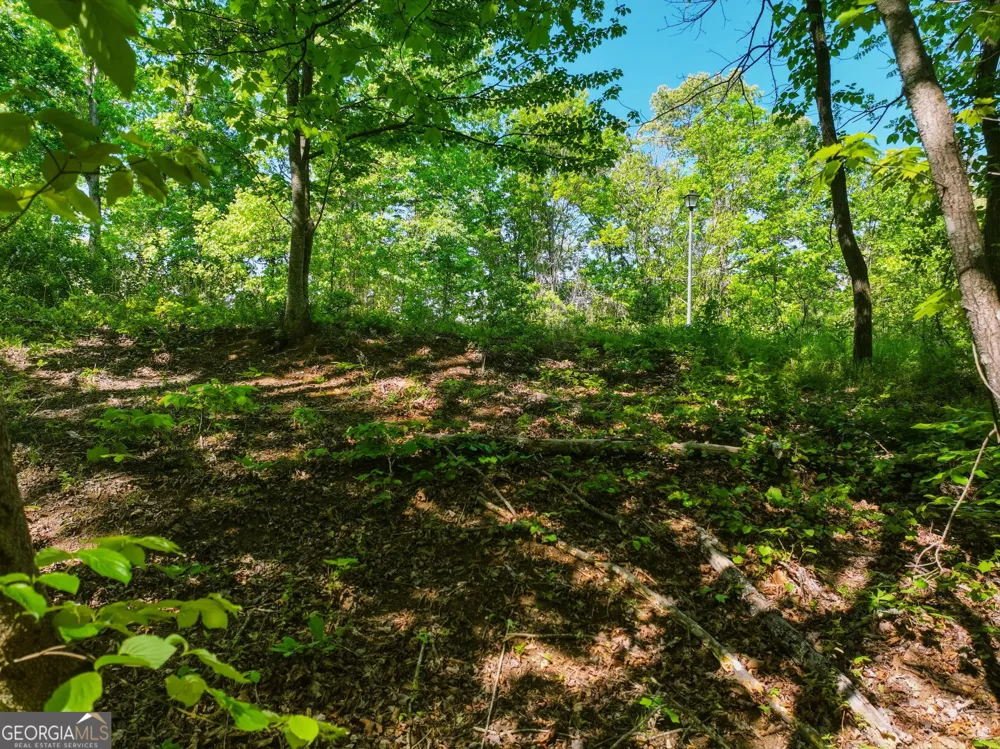 LOT 6 Summit DR Dahlonega, GA 30533